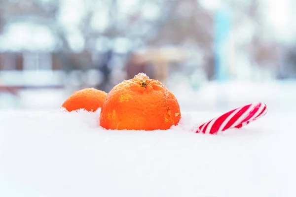 Fresh ripe mandarin, tangerine or clementine isolated on white snow in winter. — Stockfoto