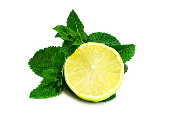 Lime Menta Fresca Isolate Fondo Bianco Copia Spazio — Foto Stock