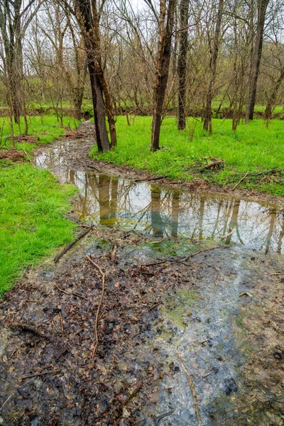 Big Bone Lick Kentucky — Stockfoto