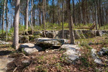 Kentucky 'deki Mamut Mağarası Ulusal Parkı