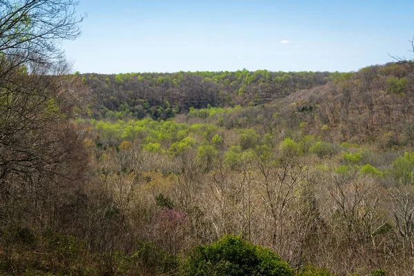 Overlook Mammoth Cave National Park — Stock Photo, Image