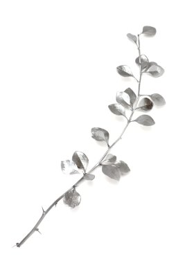 Gümüş dal kızamık