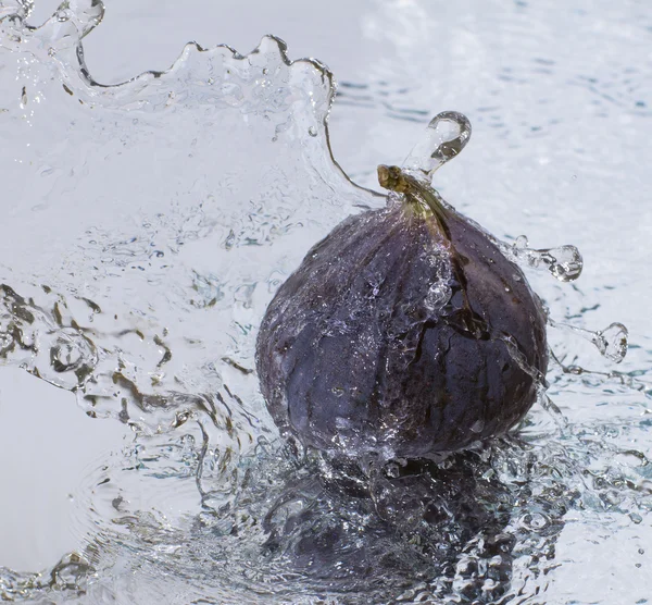 Figues et gouttes d'eau — Photo