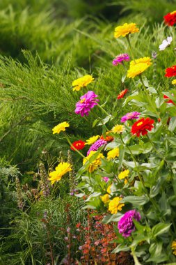 parlak boya renkleri