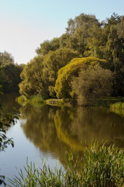 bir su birikintisi içinde park pokrovskoe-streshnevo