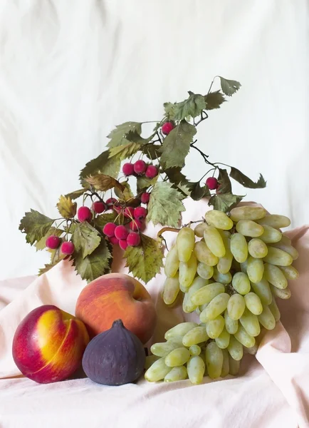 Früchte auf hellem Hintergrund — Stockfoto