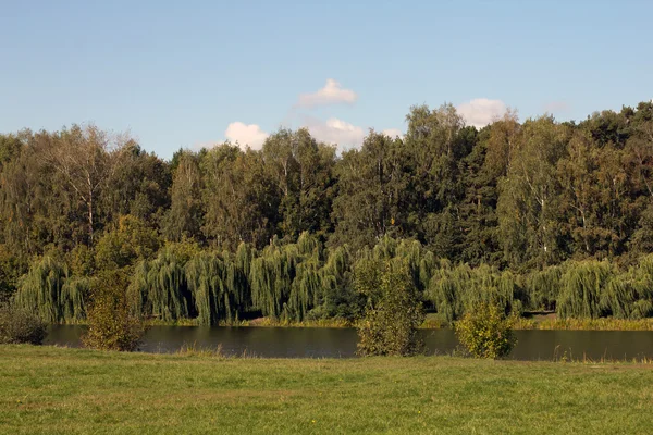 ağlayan willows