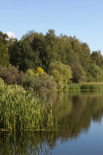 Rybník v parku pokrovskoe-streshnevo — ストック写真