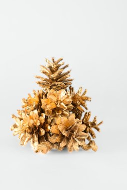 Altın koniler Noel ağacı