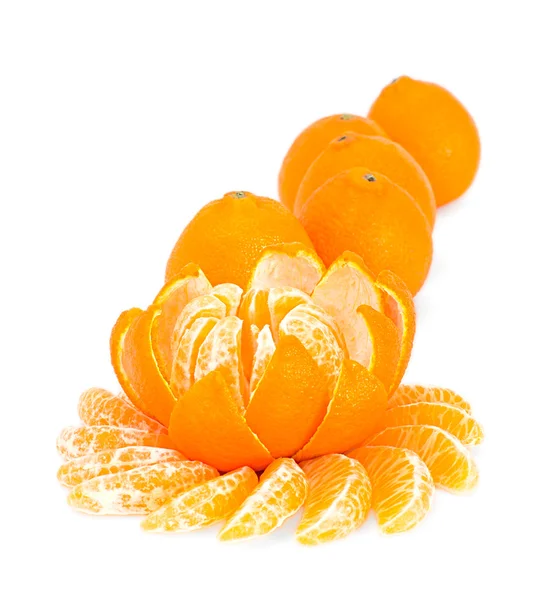 Flor de tangerina — Fotografia de Stock