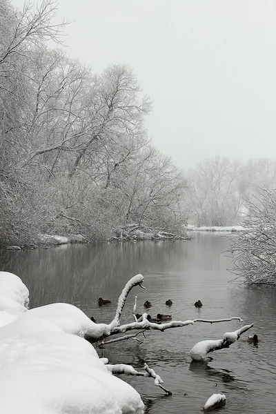 Tempête de neige rives enneigées de la rivière — Photo