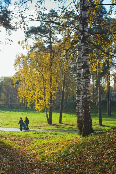 Bladval in herfstpark — Stockfoto