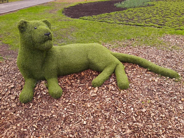 Şehir parkındaki bir panterin dekoratif heykeli..