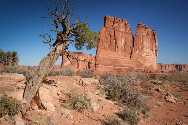 Organ and Tower of Babel at the Arches National Park — Stock Photo, Image