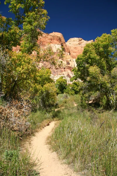 Camino a través del Cañón Calf Creek — Foto de Stock