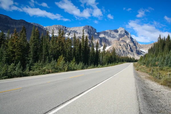 Banff national Park Caddesi — Stok fotoğraf