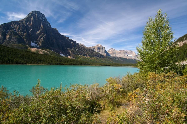 Watervogels meren in het banff national park — Stockfoto