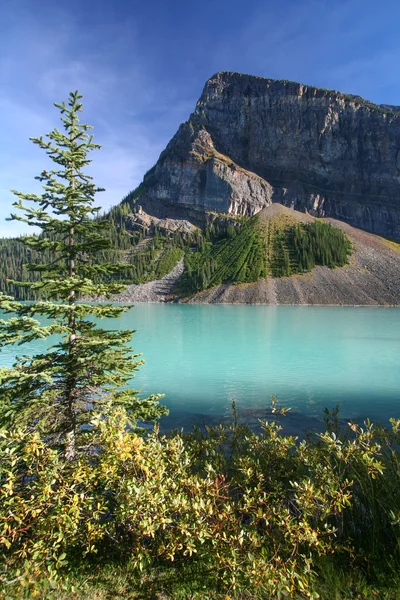 Lago Louise — Fotografia de Stock
