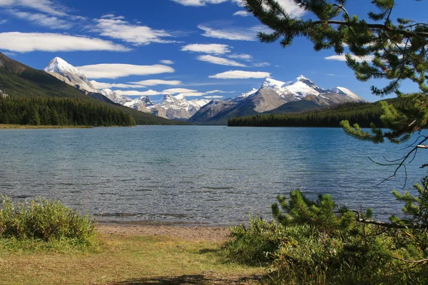 Lago Maligne — Fotografia de Stock