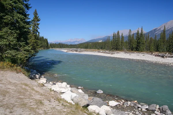 Rio Kootenay — Fotografia de Stock