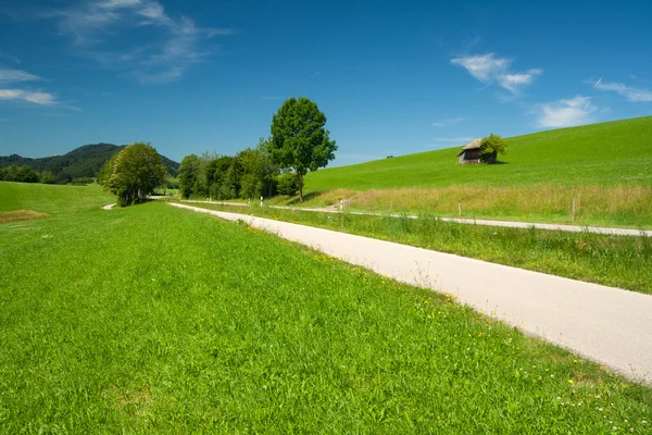 Path near the lake Illasbergsee — Stock Photo, Image
