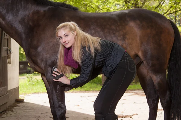 Girl brushes her pony — Stock Photo, Image