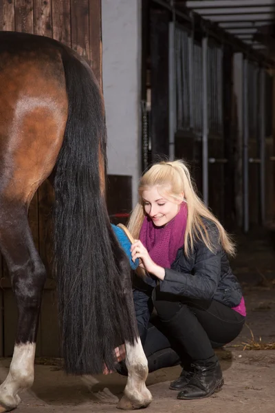 Chica cepillos su pony —  Fotos de Stock