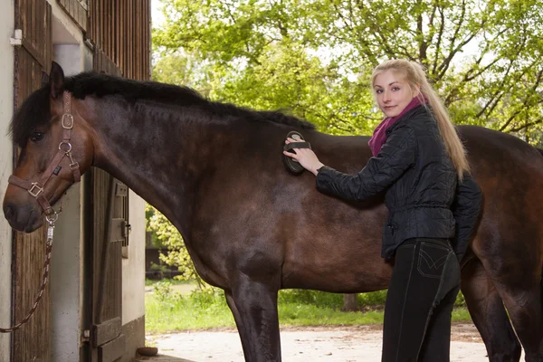 Chica cepillos su pony —  Fotos de Stock