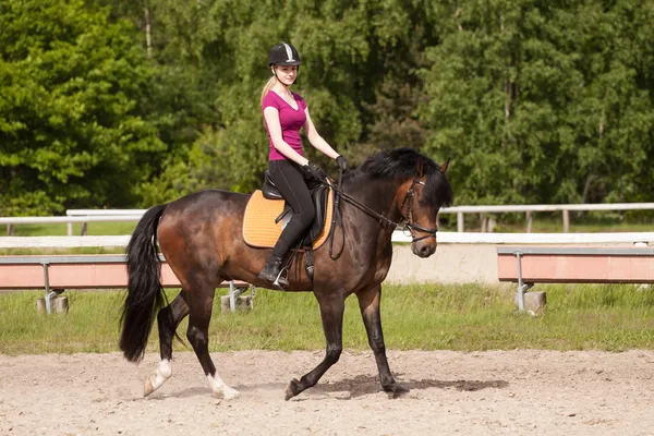 Κορίτσι βόλτες το άλογο Royalty Free Εικόνες Αρχείου