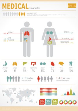 insan vücudunun organları infographics ile