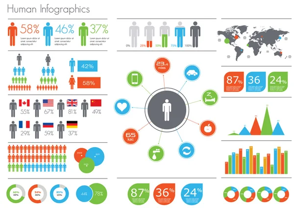 Human infographic  illustration. — Stock Vector