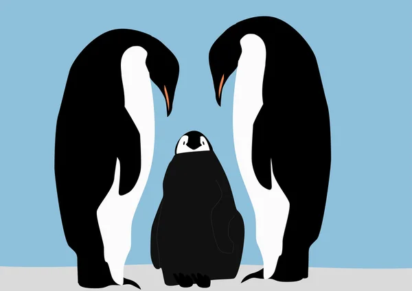 Family penguins. — Stock Vector