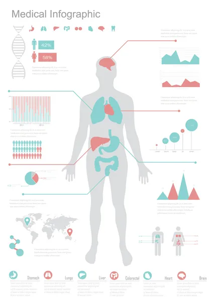 Медицинская инфографика . Стоковая Иллюстрация