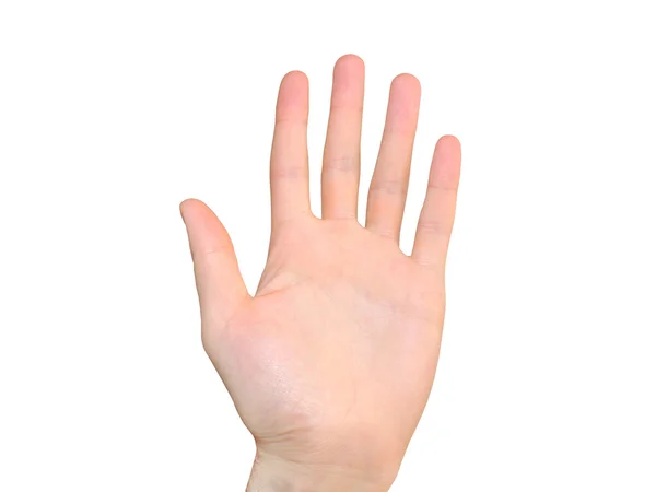 Five fingers — Stock Photo, Image