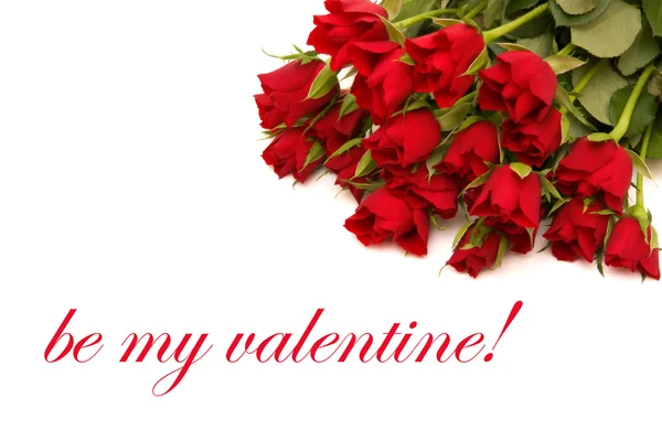 benim sevgilim olmak