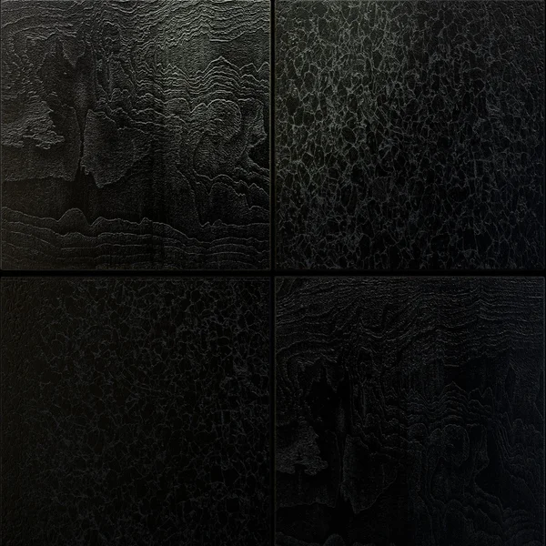 自然の黒の抽象的な背景 ロイヤリティフリーのストック画像