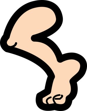 insan bacak, diz ve ayak