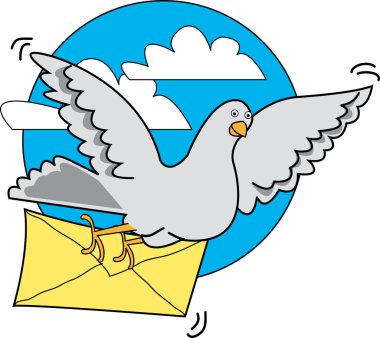 gri pigeon mektup zarfı içinde taşıma