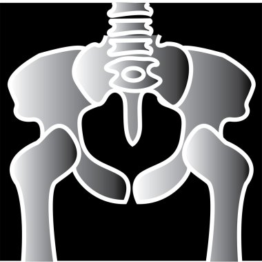 Xray pelvis clipart şekil
