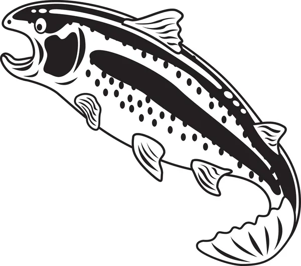 Black And White Rainbow Trout — Stock Vector