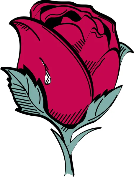 Tautropfen auf der Seite einer einzelnen roten Rose — Stockvektor