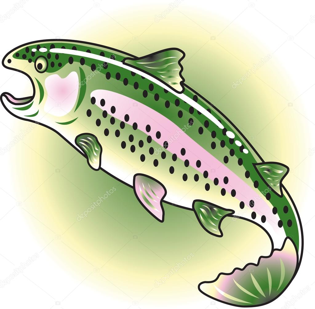 Rainbow Trout Over Green
