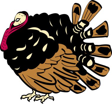 Şükran Türkiye kuş