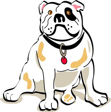 Bulldog oturma