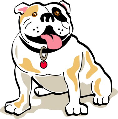 oturma bulldog dilini dışarı asılı