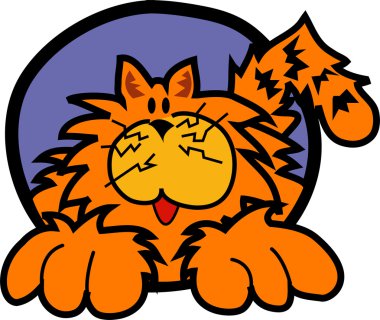 tombul mutlu turuncu kedi