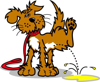 köpek tasmalı, onun bacak kaldırma ve peeing