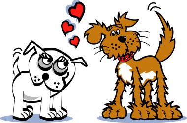 birbirleriyle bakıyor ve kendi kuyruklarını sallayarak iki aşık köpek