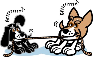 iki köpek halat ip ile oynarken hırlıyor
