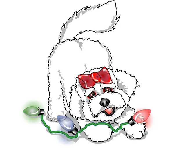 Bichon Frise dog playing with colorful christmas lights — Stock Vector